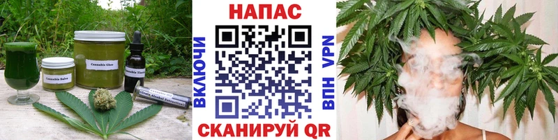 Купить  Болхов  Canna-Cookies конопля 