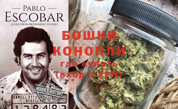стафф Богданович