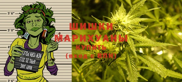 стафф Богданович