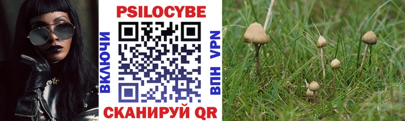 Купить где  Болхов  Галлюциногенные грибы мухоморы 