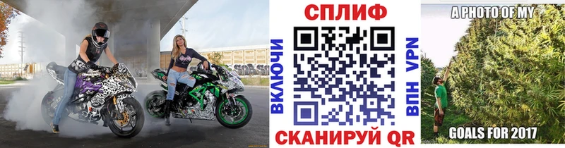 Каннабис White Widow  Купить где  Болхов 